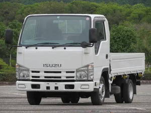 ISUZU Elf Flat Body TKG-NHR85A 2014 131,060km_1