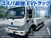 Others Others Flat Body -  _1