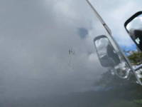 ISUZU Elf Flat Body BKG-NJR85A 2008 21,418km_9