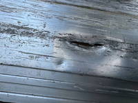 ISUZU Forward Aluminum Wing 2RG-FRR90T2 2018 356,322km_36