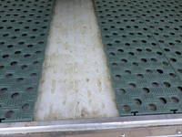 ISUZU Elf Refrigerator & Freezer Truck 2RG-NLR88AN 2020 111,000km_12