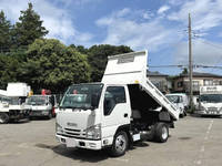 ISUZU Elf Dump TPG-NJR85AN 2019 45,538km_1