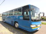 Blue Ribbon Bus