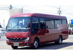 Rosa Micro Bus