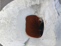 ISUZU Giga Mixer Truck 2KG-CXZ77CT 2023 2,555km_10