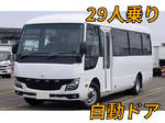 Rosa Micro Bus