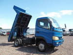 Others Dump