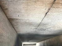 ISUZU Elf Flat Body TPG-NJS85A 2015 37,440km_35