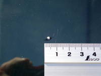 HINO Dutro Safety Loader TKG-XZU722M 2018 191,700km_39