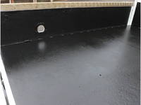 ISUZU Elf Double Cab TRG-NJR85A 2015 99,659km_34