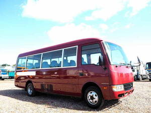 Rosa Micro Bus_1