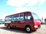 Rosa Micro Bus