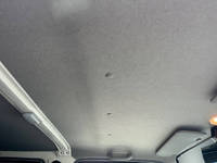 TOYOTA Dyna Double Cab 2DG-GDY231 2022 31,358km_31