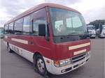 Rosa Micro Bus