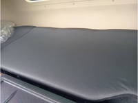 HINO Profia Deep Dump 2DG-FS1AJA 2022 10,677km_26