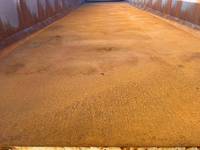 Others Others Dump Trailer KFL32 (KAI) 2016 0km_8