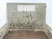 ISUZU Elf Dump 2RG-NKR88AT 2023 33,000km_7