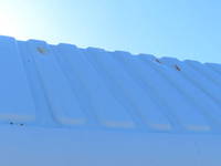 TOYOTA Others Carrier Car 2KG-XZU720 2018 107,000km_36