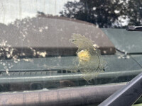 HINO Ranger Aluminum Van 2KG-FD2ABG 2019 391,754km_37