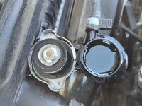 ISUZU Elf Container Carrier Truck TPG-NJR85AN 2017 156,237km_14