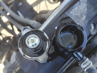 ISUZU Forward Container Carrier Truck TKG-FRR90S2 2017 103,621km_14