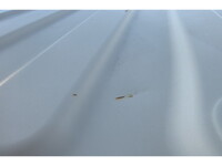 ISUZU Elf Truck (With 4 Steps Of Cranes) 2RG-NPR88AR 2021 103,132km_36