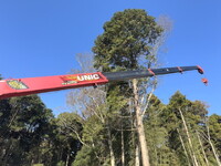 UD TRUCKS Condor Truck (With 4 Steps Of Cranes) QKG-PK39CH 2017 372,953km_21