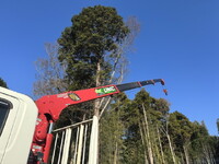 HINO Ranger Truck (With 4 Steps Of Cranes) TKG-FC9JKAP 2017 63,329km_20