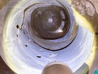 ISUZU Elf Mixer Truck 2RG-NKR88N 2020 98,694km_8