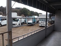 ISUZU Elf Cattle Transport Truck SKG-NPR85YN 2013 9,233km_16