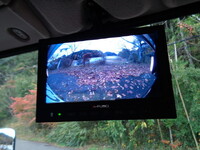 MITSUBISHI FUSO Canter Flat Body 2RG-FBA20 2025 202km_34