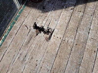 ISUZU Forward Truck (With 4 Steps Of Cranes) SKG-FSR90S2 2014 768,000km_9