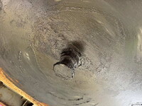 TOKYU Others Flat Bed With Side Flaps TF24F4C2 1995 0km_10