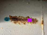 TOKYU Others Flat Bed With Side Flaps TF24F4C2 1995 0km_8