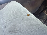 MITSUBISHI FUSO Super Great Dump QKG-FV50VX 2015 644,000km_28