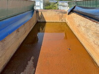 NIPPON TREX  Others Dump Trailer PFB34112 2022 0km_11