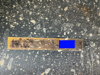 TRAILMOBILE Others Flat Bed With Side Flaps PFB23901 1995 0km_10