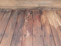 TOYOTA Others Flat Body TPG-XZU645 2019 23,902km_15