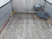 HINO Profia Chipper Truck 2DG-FS1AHG 2018 794,000km_19