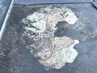 MAZDA Titan Double Cab SKG-LHS85A 2011 51,632km_16