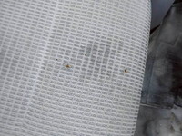 HINO Dutro Refrigerator & Freezer Truck TKG-XZU710M 2017 366,003km_34