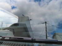 ISUZU Elf Aluminum Wing 2RG-NPR88AN 2019 137,000km_19