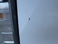 TOYOTA Others Refrigerator & Freezer Truck 2RG-XZU710 2021 27,327km_33