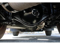 NISSAN Atlas Flat Body TRG-FBA5W 2017 31,000km_17