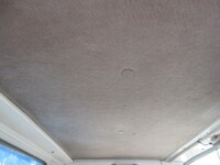 ISUZU Elf Dump BKG-NJR85AN 2008 116,170km_10