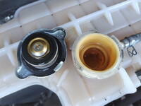 HINO Profia Refrigerator & Freezer Truck 2DG-FR1AHJ 2019 546,928km_15