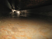 ISUZU Elf Garbage Truck PDG-NPR75N 2009 243,000km_11