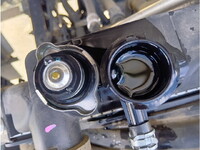 ISUZU Forward Container Carrier Truck 2RG-FRR90S2 2020 134,422km_13