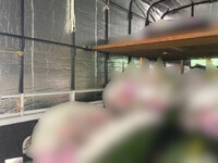 TOYOTA Toyoace Covered Truck ABF-TRY230 2013 78,857km_7