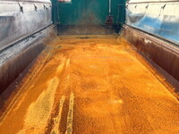 ISUZU Giga Dump QKG-CXZ77AT 2014 338,000km_9